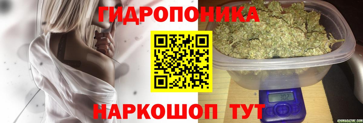 Бошки Шишки тримм Моздок